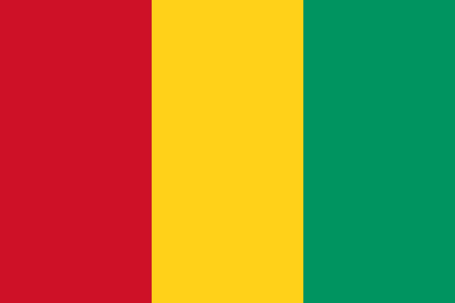 几内亚BESC跟踪单介绍